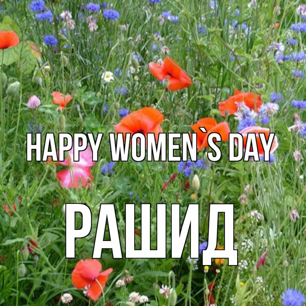Greetings card с именем, Рашид happy women`s day международный женский день 4 Greetings with text for free download 